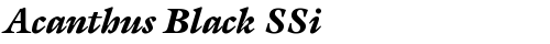 Acanthus Black SSi Bold Italic truetype font