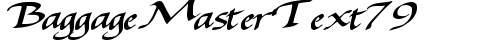 BaggageMasterText79 Bold truetype font