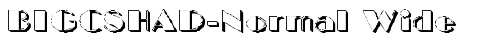 BIGCSHAD-Normal Wide Regular truetype шрифт бесплатно