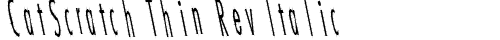 CatScratch Thin Rev Italic Regular truetype font