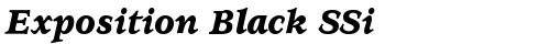 Exposition Black SSi Bold Italic truetype font