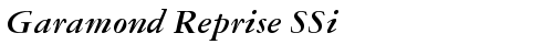 Garamond Reprise SSi Bold Italic truetype font