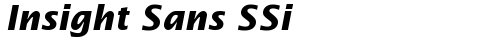 Insight Sans SSi Bold Italic truetype font