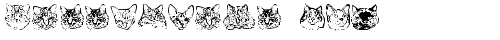 KittyPrint AOE Regular truetype шрифт