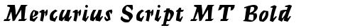 Mercurius Script MT Bold Bold free truetype font