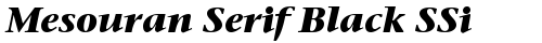 Mesouran Serif Black SSi Bold Italic truetype font