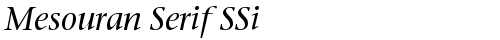 Mesouran Serif SSi Italic free truetype font