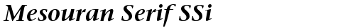 Mesouran Serif SSi Bold truetype шрифт