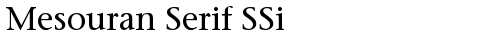 Mesouran Serif SSi Regular TrueType police