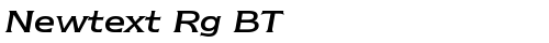 Newtext Rg BT Italic truetype font