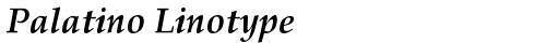 Palatino Linotype Bold Italic truetype font
