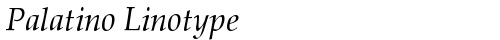 Palatino Linotype Italic TrueType-Schriftart