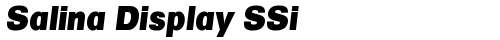 Salina Display SSi Italic truetype fuente gratuito