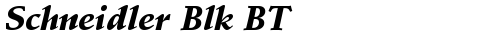 Schneidler Blk BT Bold Italic truetype шрифт