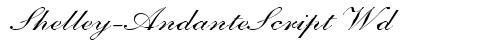 Shelley-AndanteScript Wd Regular font TrueType gratuito