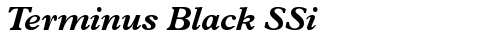 Terminus Black SSi Bold Italic TrueType-Schriftart