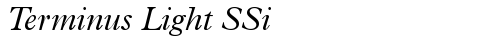 Terminus Light SSi Italic truetype шрифт