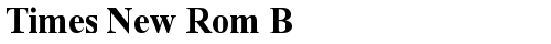 Times New Rom B Regular TrueType-Schriftart