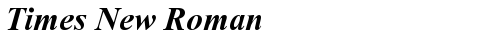 Times New Roman Bold Italic TrueType police