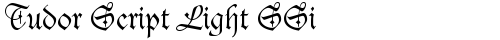 Tudor Script Light SSi Light TrueType-Schriftart