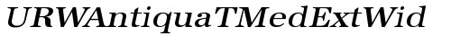 URWAntiquaTMedExtWid Oblique truetype шрифт