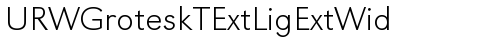 URWGroteskTExtLigExtWid Regular truetype шрифт