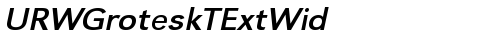 URWGroteskTExtWid Oblique truetype шрифт
