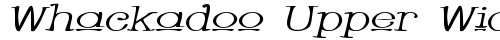 Whackadoo Upper Wide Italic truetype шрифт