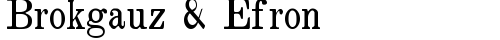 Brokgauz & Efron Regular truetype font