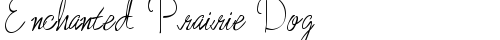 Enchanted Prairie Dog Regular truetype font