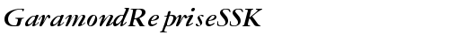 GaramondRepriseSSK Bold Italic truetype fuente