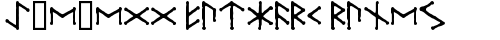 Ice-egg Futhark Runes Regular truetype font