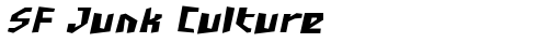 SF Junk Culture Bold Oblique free truetype font