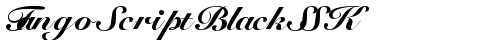TangoScriptBlackSSK Regular font TrueType