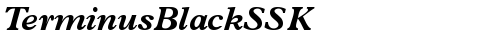 TerminusBlackSSK Italic Truetype-Schriftart kostenlos
