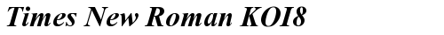 Times New Roman KOI8 Bold Italic truetype font