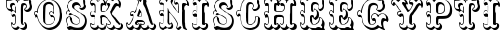 ToskanischeEgyptienneInitialen Regular truetype шрифт бесплатно