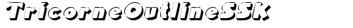 TricorneOutlineSSK Italic font TrueType