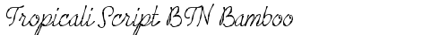 Tropicali Script BTN Bamboo Oblique truetype шрифт бесплатно