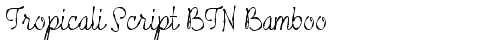 Tropicali Script BTN Bamboo Regular truetype шрифт