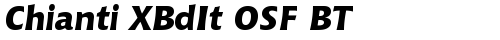 Chianti XBdIt OSF BT Extra Bold Ital truetype font