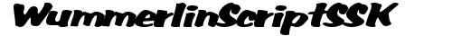 WummerlinScriptSSK Italic free truetype font