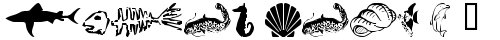 wmaquatic1 Regular truetype шрифт