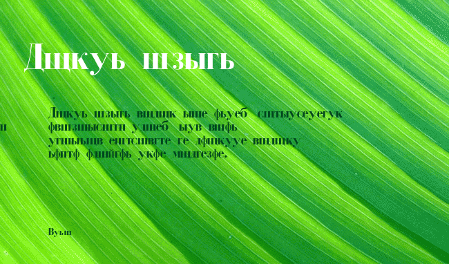 Cyrillic-Bold example