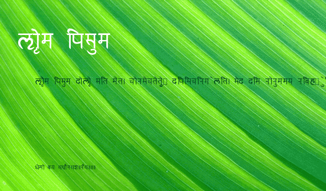 RK Sanskrit example