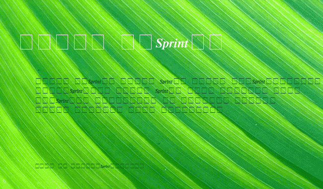 Sprint example