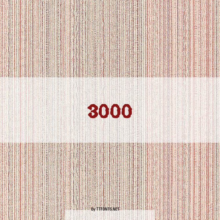 3000 example