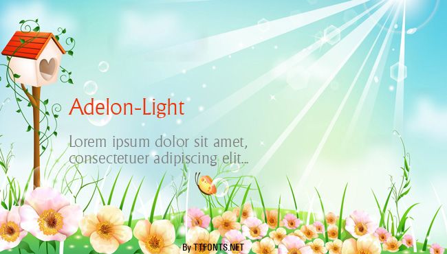 Adelon-Light example