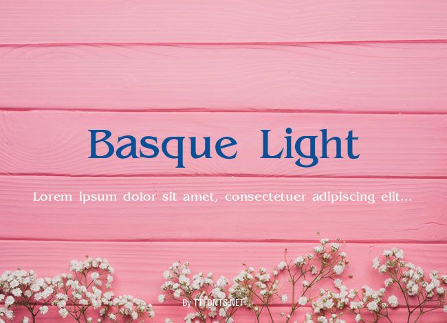 Basque Light example