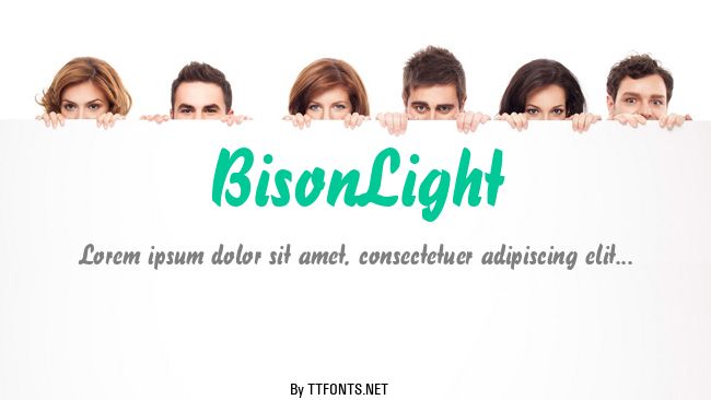 BisonLight example